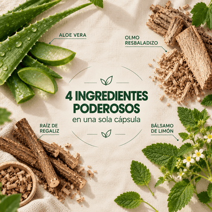 ALIVERA FORTE® — Decile adiós a la acidez y volvé a disfrutar tus comidas